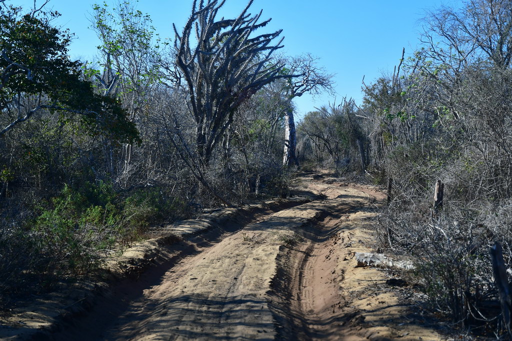 Piste to Toliara